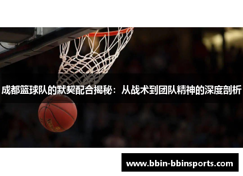 成都篮球队的默契配合揭秘：从战术到团队精神的深度剖析